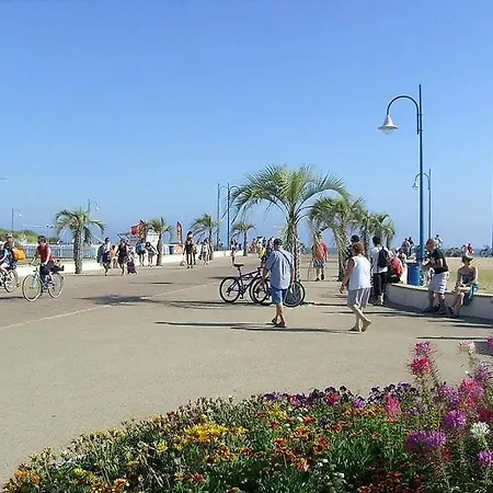 公寓 La Palmyre - Les Maisons De L'ocean - Mitoyenne Avec Terrasse 莱马特