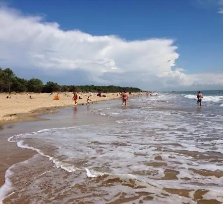 Lägenhet La Palmyre - Les Maisons De L'ocean - Mitoyenne Avec Terrasse *